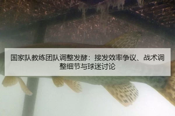 guo-jia-dui-jiao-lian-tuan-dui-tiao-zheng-fa-jiao-jie-fa-xiao-lv-zheng-yi-zhan-shu-tiao-zheng-xi-jie-yu-qiu-mi-tao-lun-2-806.jpg